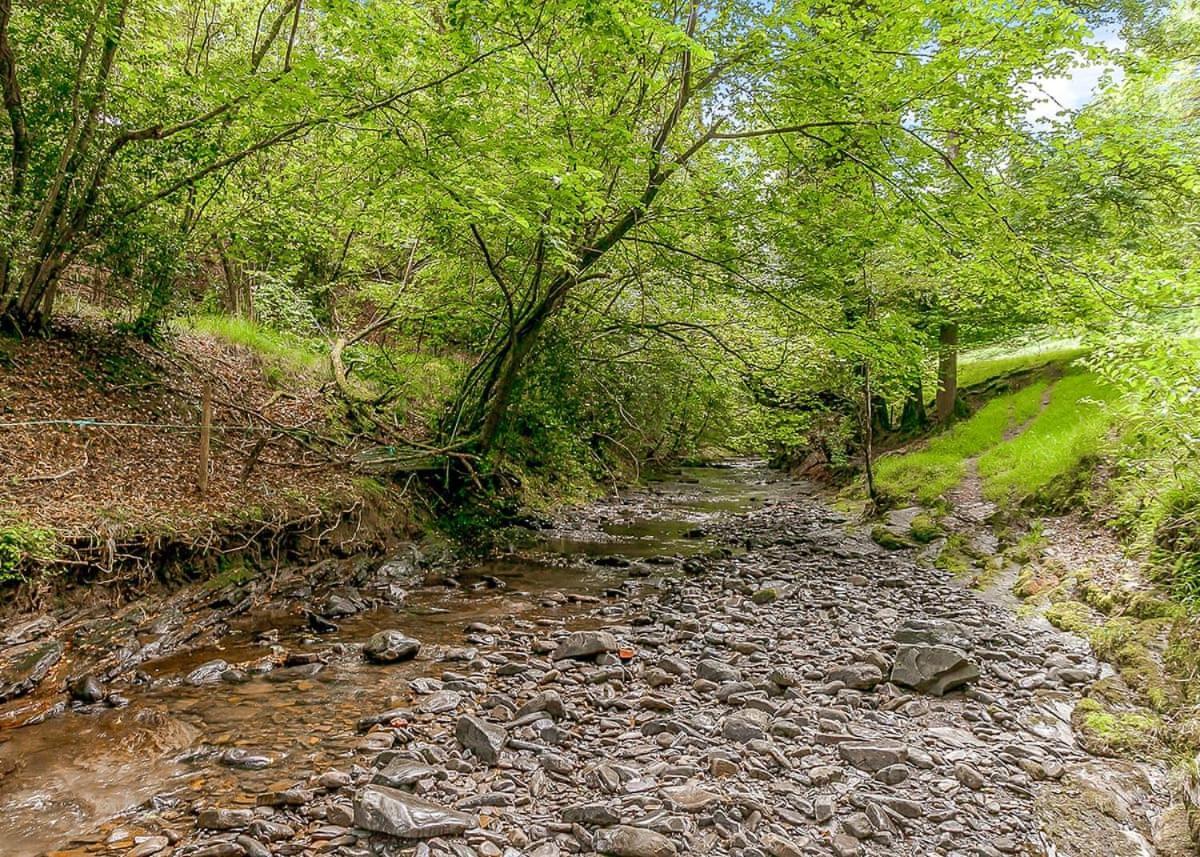 Nant-Y-Coed Lodges Mochdre  Exterior foto